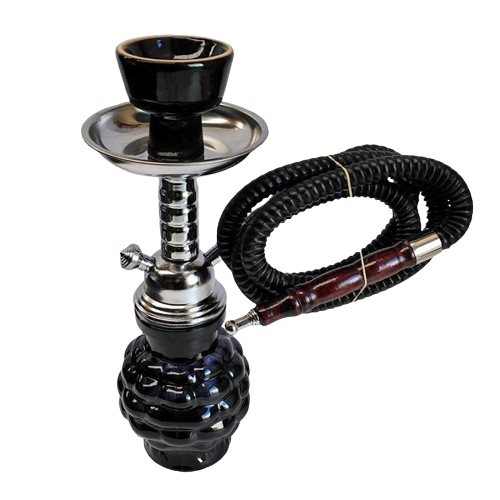 Badshah Grape 2 Hose Hookah Kit